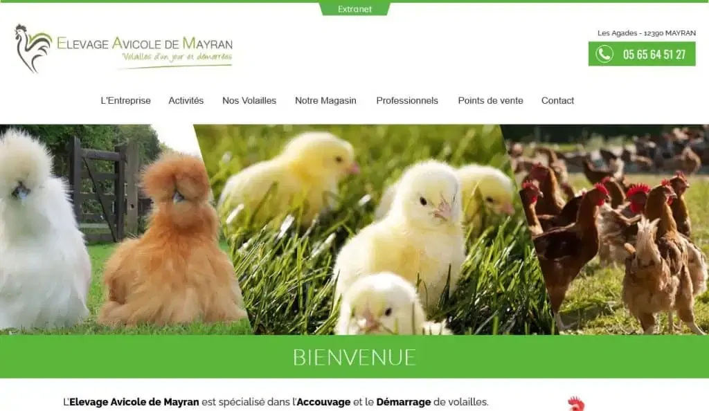 Elevage Avicole De Mayran
