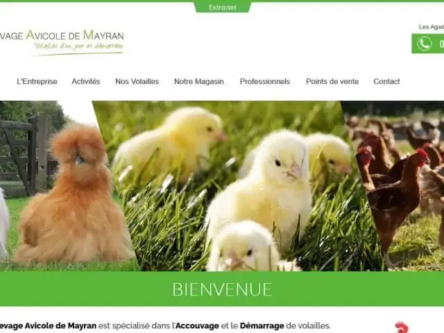 Elevage Avicole De Mayran